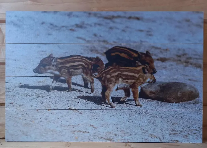 't Zwientje Lägenhet